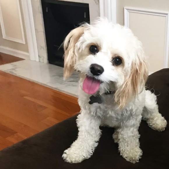 Meet your Posher, Christina - Picture 7 of 7